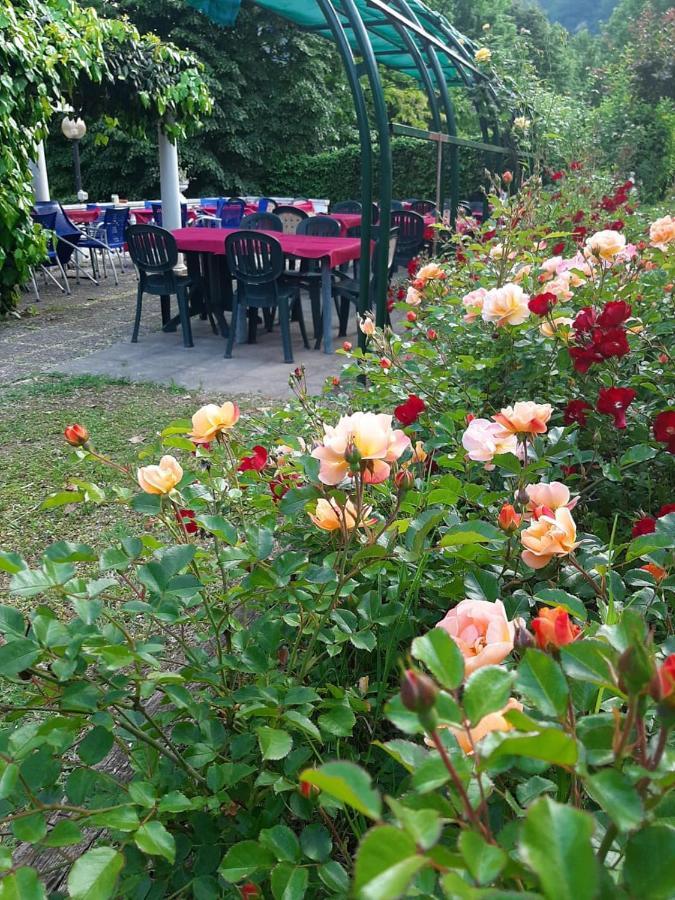 Da Gianni Hotel Zogno Экстерьер фото